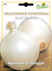 Svogūnų sėklos Internetu „Agostana di Chioggia“